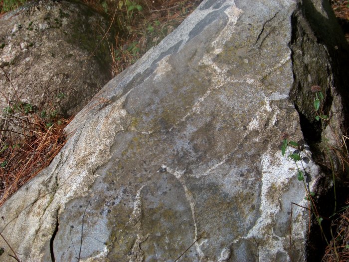 Gneiss silano