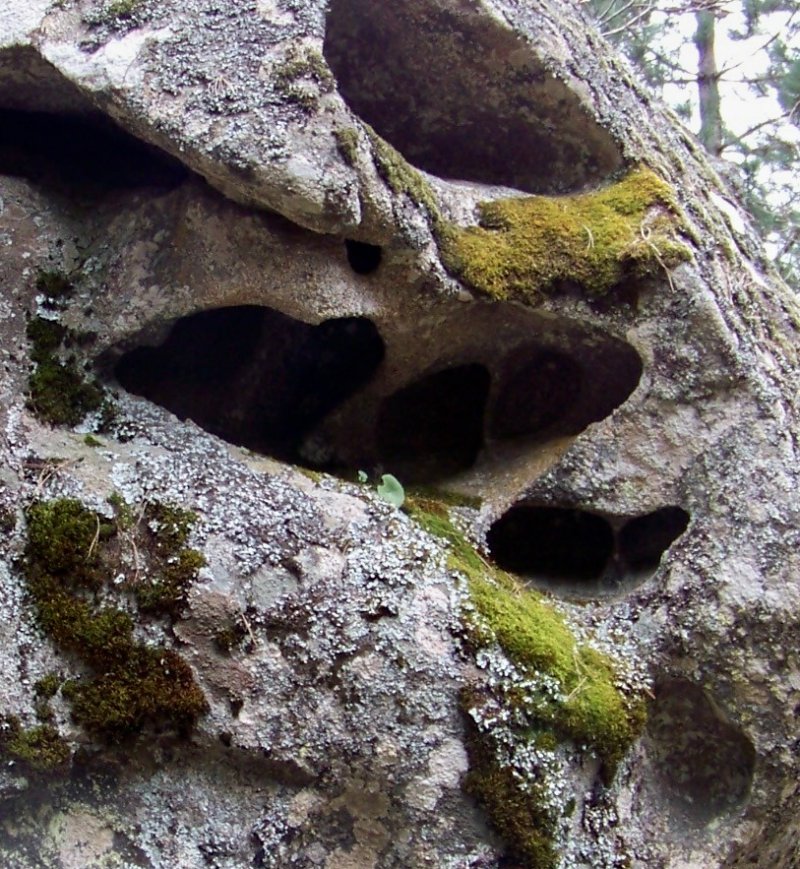 Strani incavi nel granito - tafoni