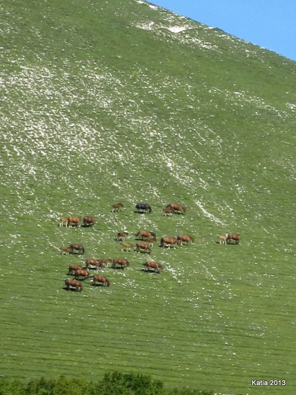 Escursione sul Monte Catria 2