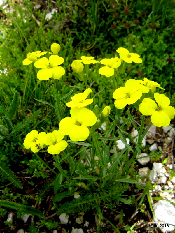 Escursione sul Monte Catria 2