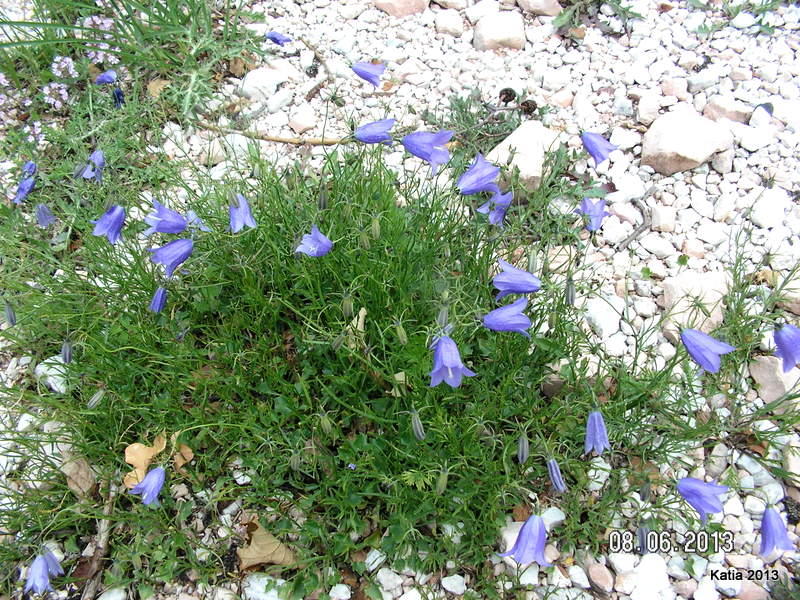 Escursione sul Monte Catria 2