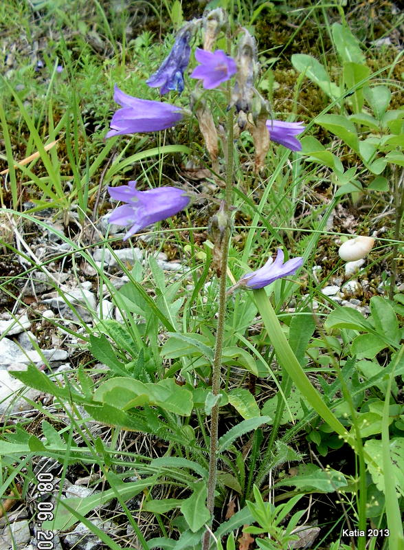 Escursione sul Monte Catria 2