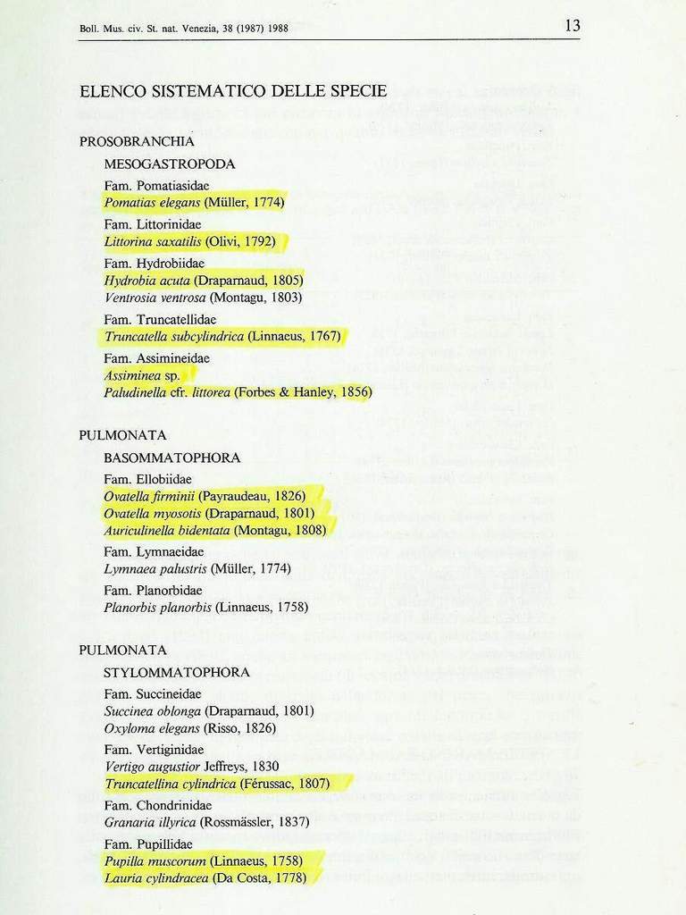 Trochoidea trochoides (Poiret, 1789) da confermare