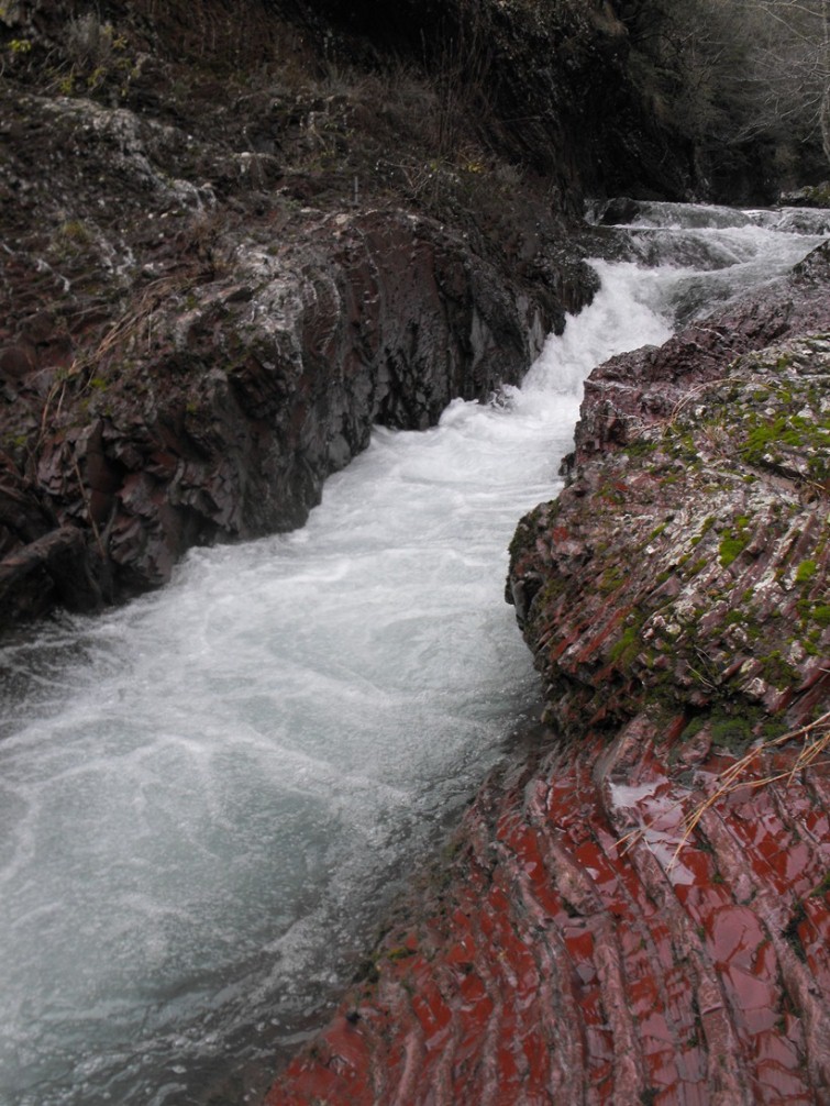 La bellezza del Rio Novelli e del Torrente Graveglia