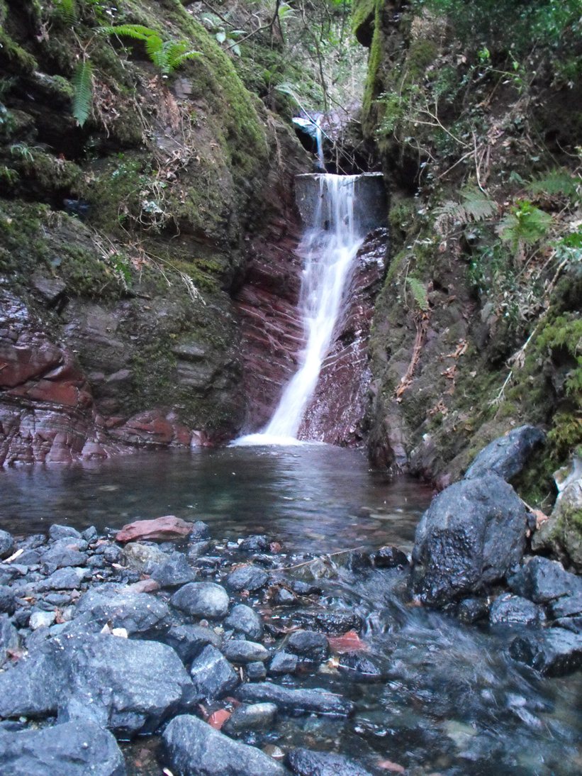 La bellezza del Rio Novelli e del Torrente Graveglia