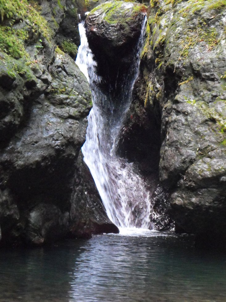 La bellezza del Rio Novelli e del Torrente Graveglia