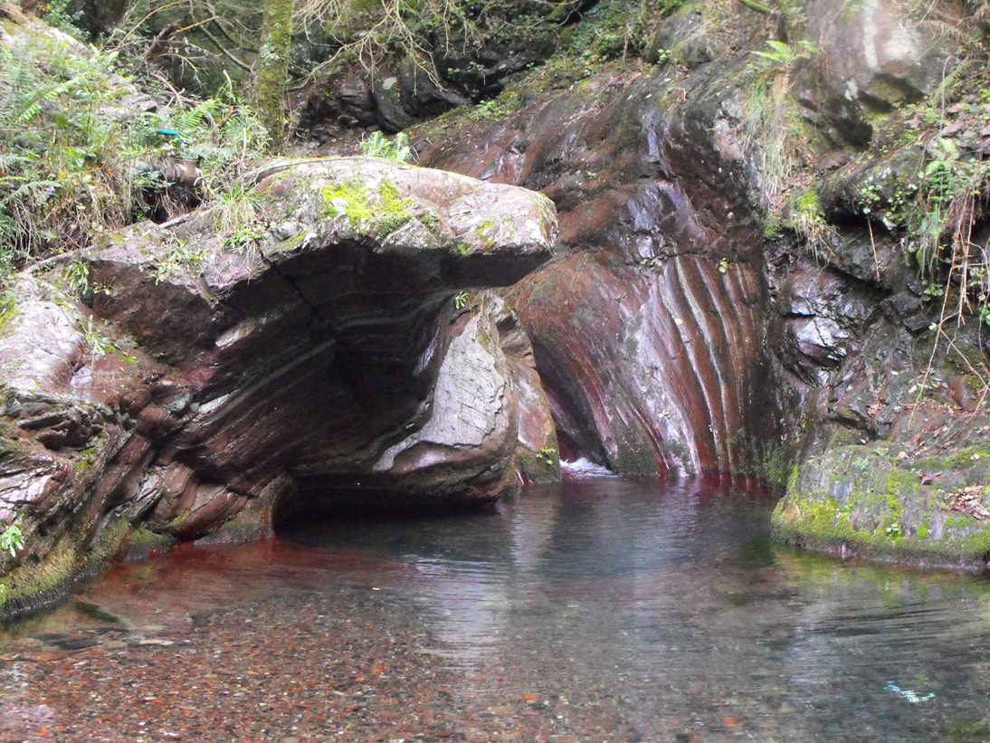 La bellezza del Rio Novelli e del Torrente Graveglia