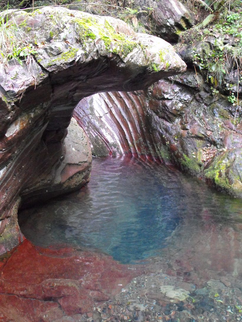 La bellezza del Rio Novelli e del Torrente Graveglia