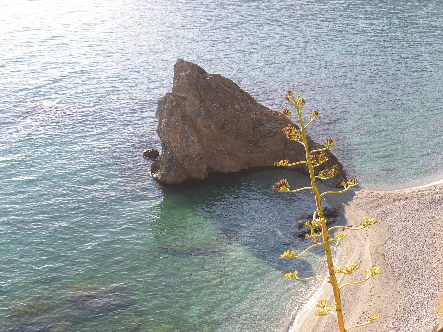 Monterosso (Cinque Terre)