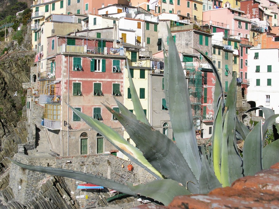 Riomaggiore (Cinque Terre)