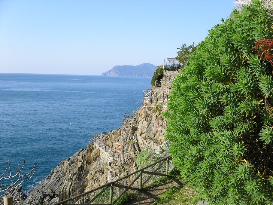 Riomaggiore (Cinque Terre)