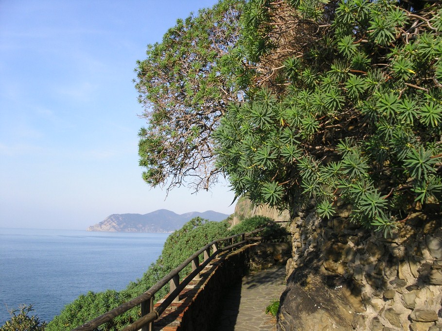 Riomaggiore (Cinque Terre)