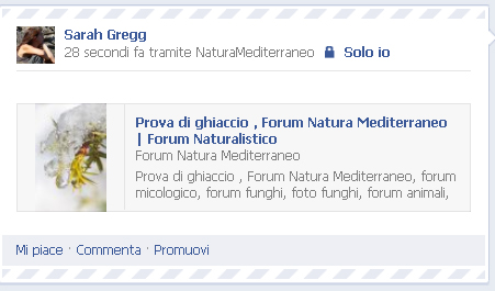 Condividere un post in Facebook