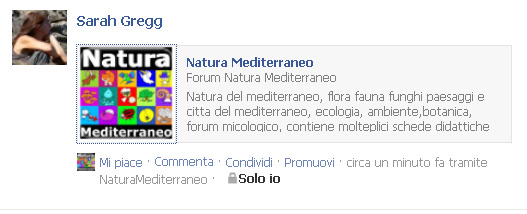 Condividere un post in Facebook