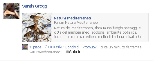 Condividere un post in Facebook