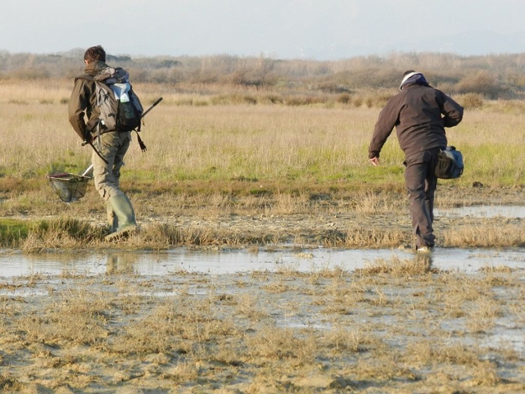 VOLONTANFIBI 2014: Parco Regionale MSRM