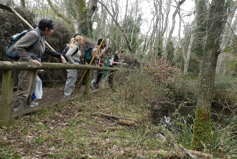 VOLONTANFIBI 2014: Parco Regionale MSRM