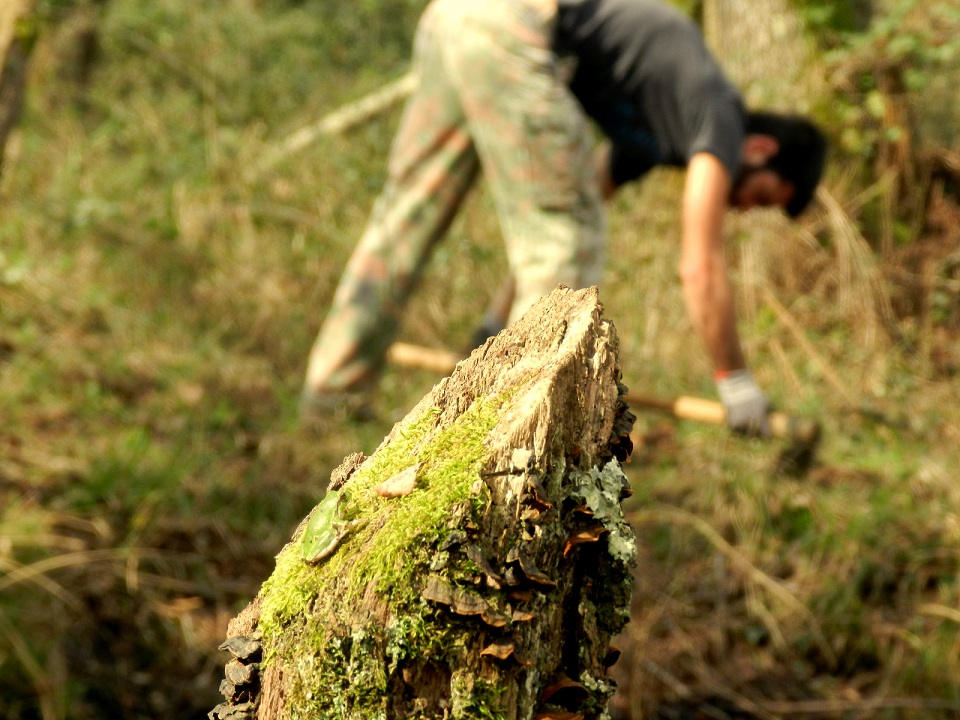 VOLONTANFIBI 2014: Parco Regionale MSRM