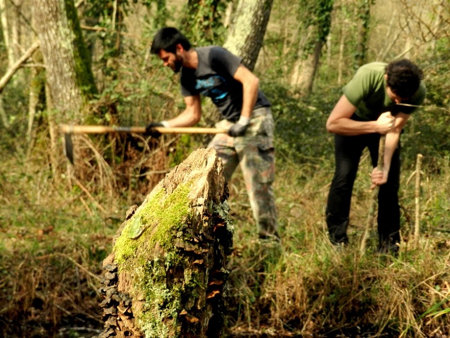 VOLONTANFIBI 2014: Parco Regionale MSRM