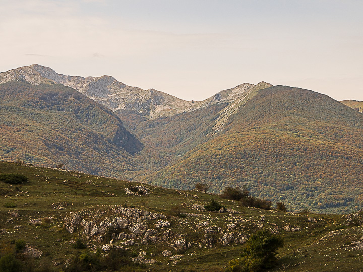 Natura Mediterraneo festeggia i 10 anni!! Raduno NM