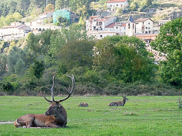 Natura Mediterraneo festeggia i 10 anni!! Raduno NM