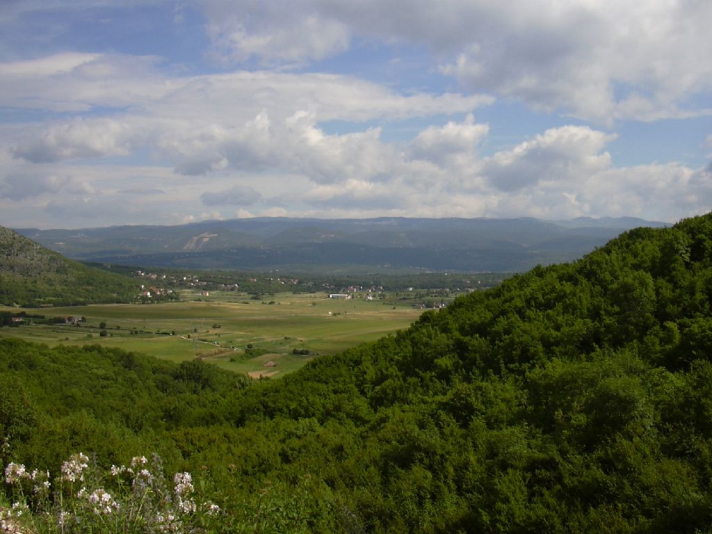 Doline e Polje