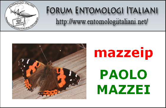 Entomodena, 44a edizione, 19 e 20 Settembre 2015