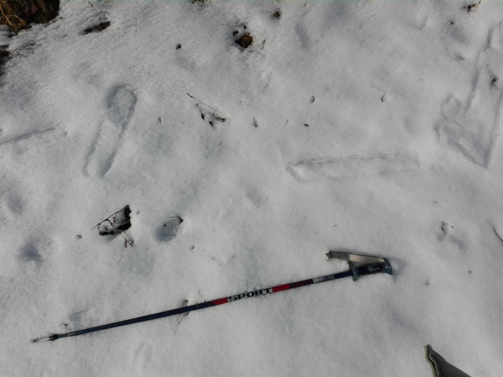 Segni nella neve  rettangolari!