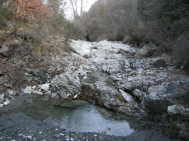 Larve di Siphlonurus di Acquapendente (VT)