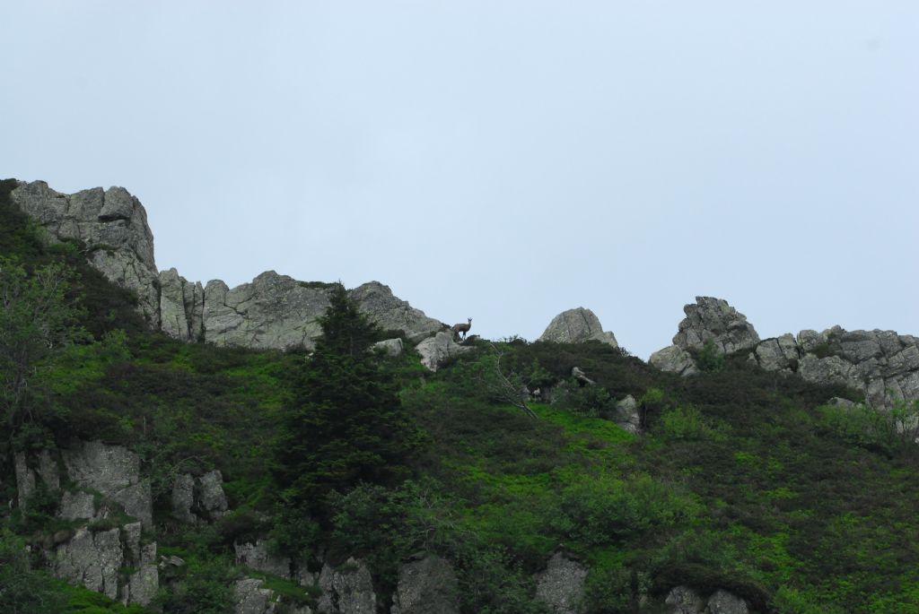 Oggi, alta Valle Morobbia