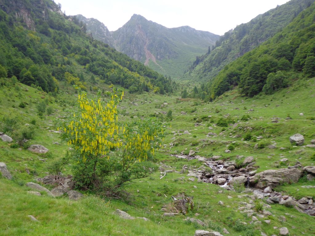 Oggi, alta Valle Morobbia