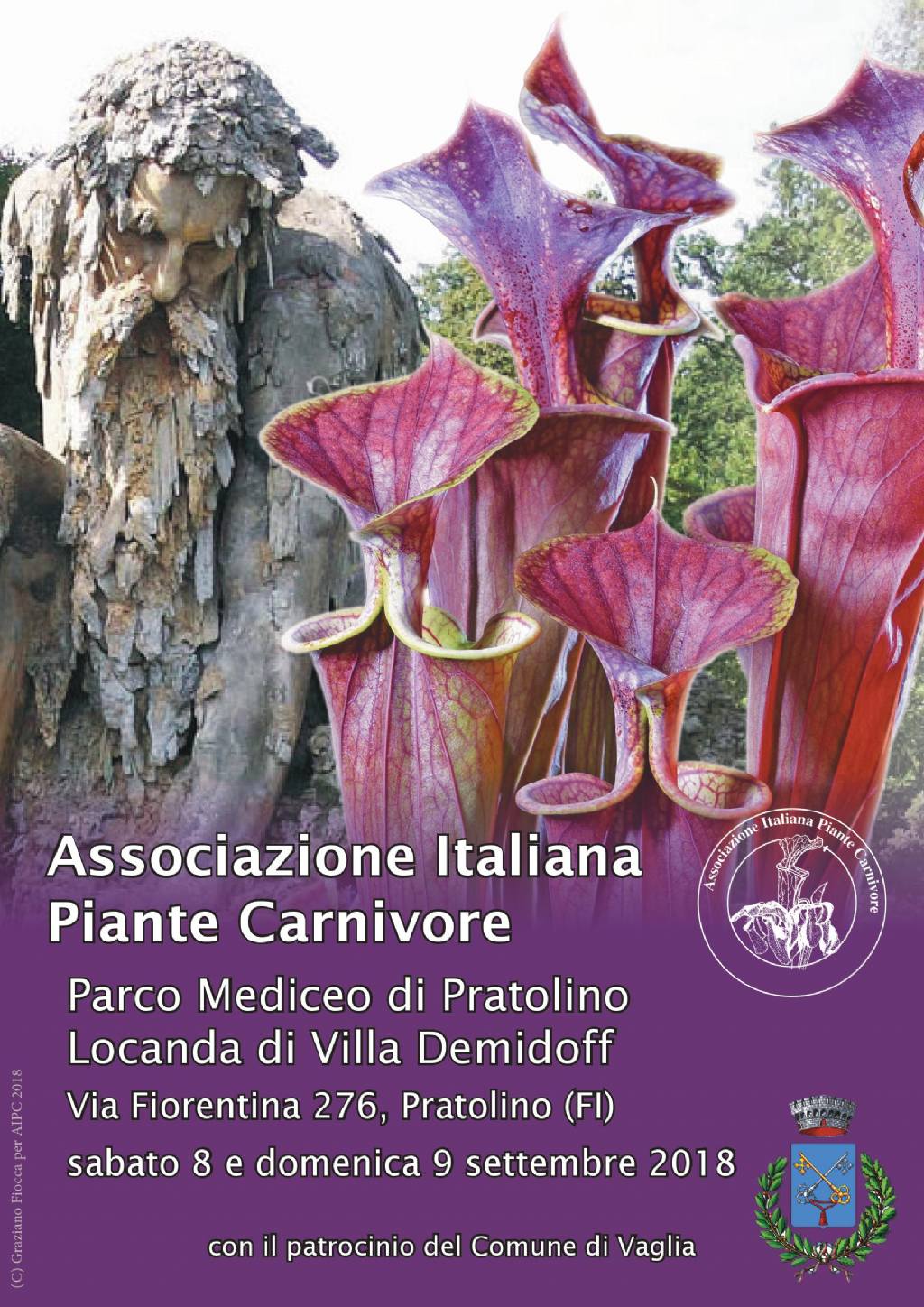 Meeting autunnale Associazione Italiana Piante Carnivore, 8-9 settembre 2018 (FI)
