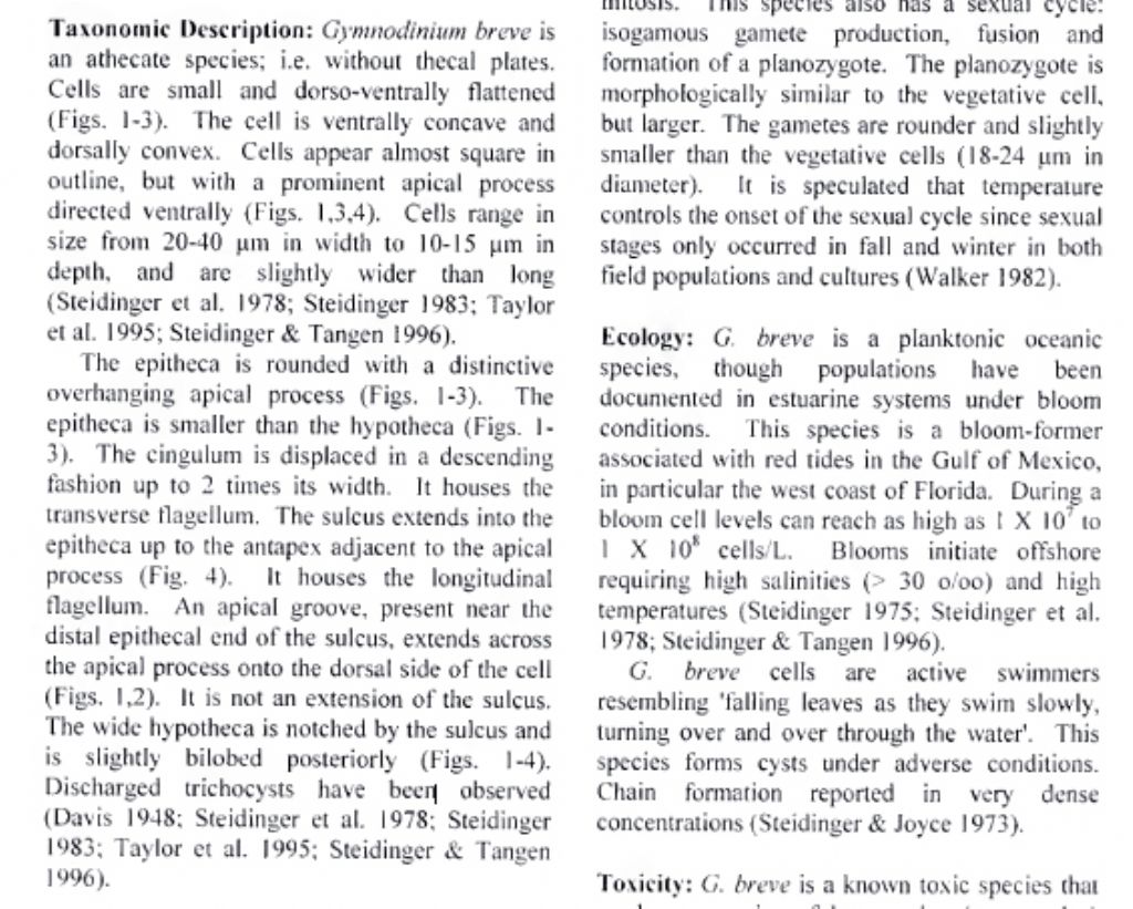 Gymnodinium breve (dinoflagellato)