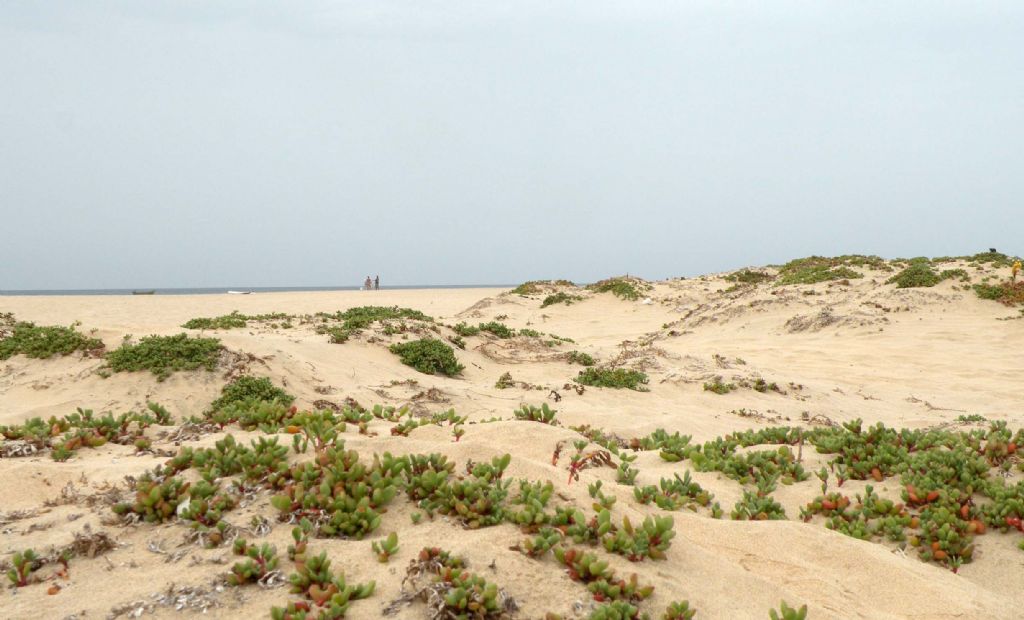 Sulle dune dell''isola di Sal, Capo Verde