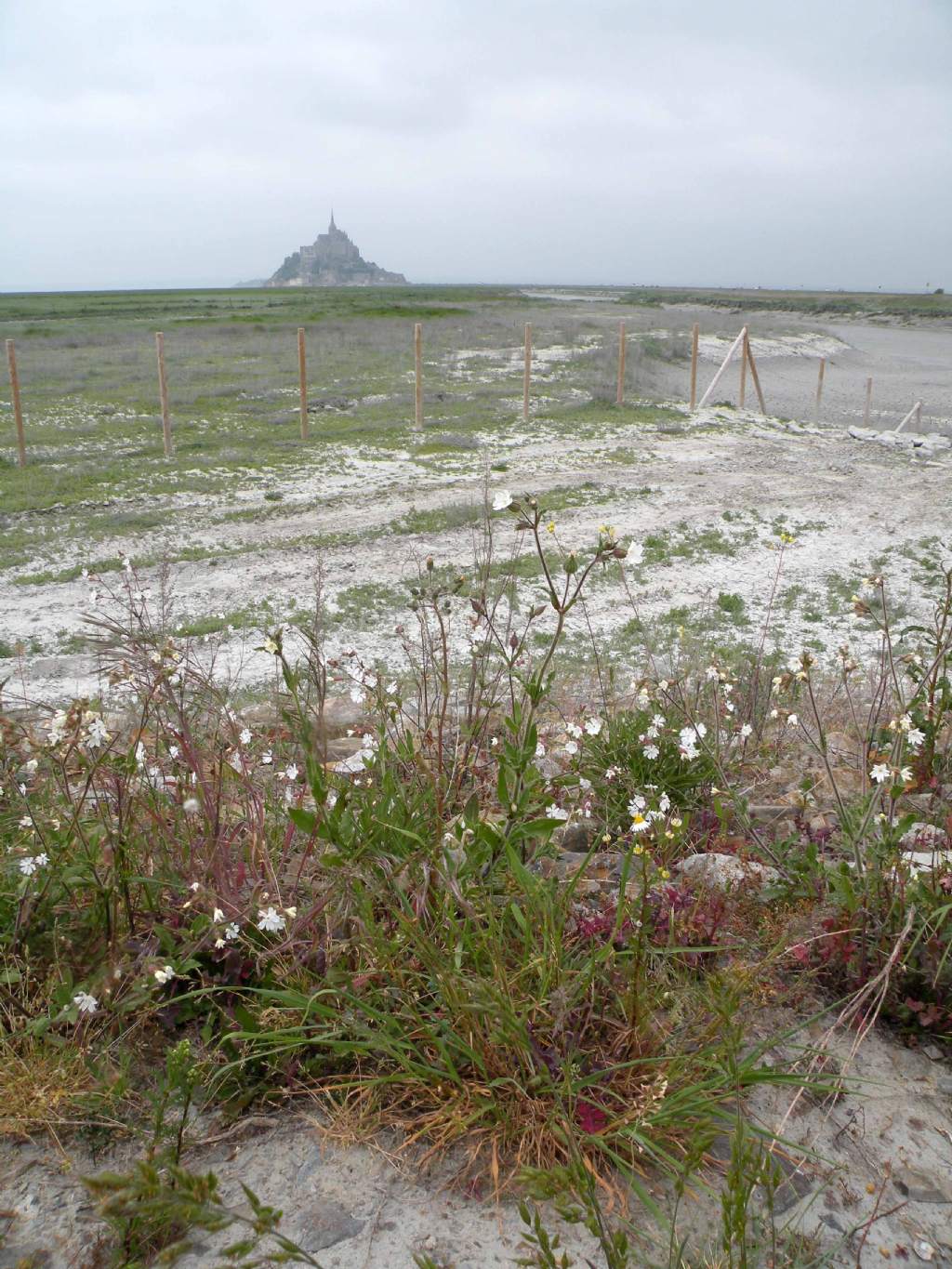 Passeggiando sulla spiaggia di Mont Saint-Michel