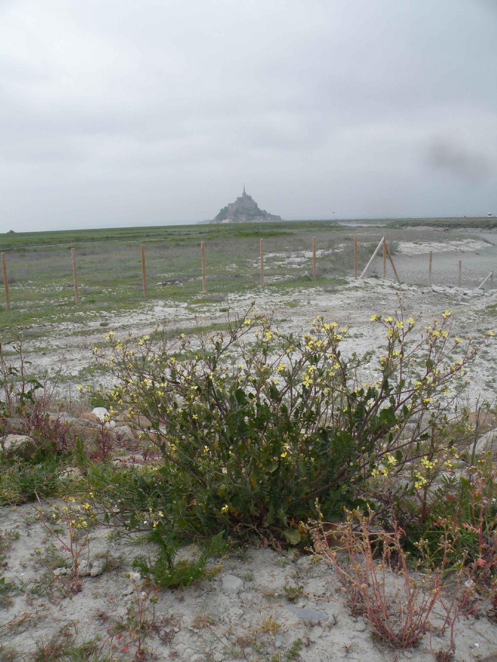 Passeggiando sulla spiaggia di Mont Saint-Michel