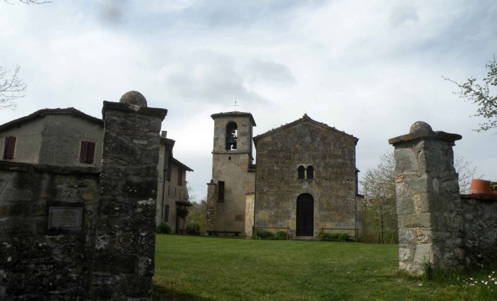 Pianzo, appennino reggiano: Orchis purpurea e altre...