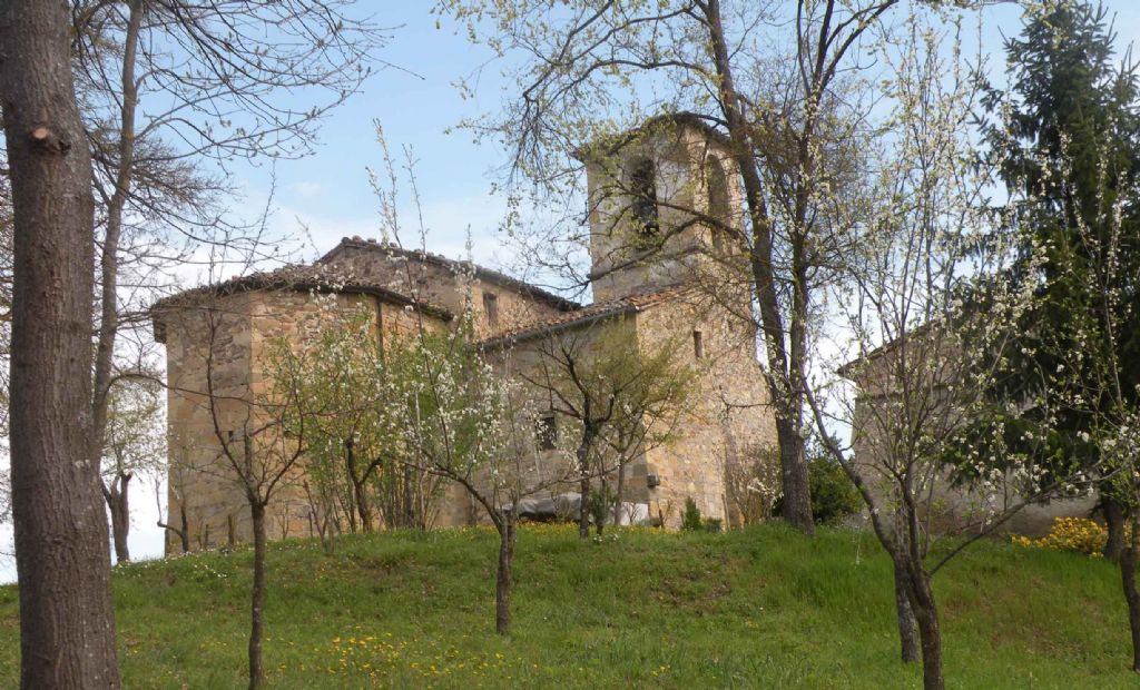 Pianzo, appennino reggiano: Orchis purpurea e altre...