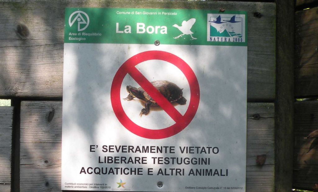 Le testuggini dell''ARE La Bora (BO)