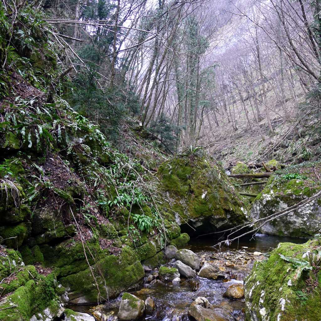 Suggestivo canyon in zona Baldo