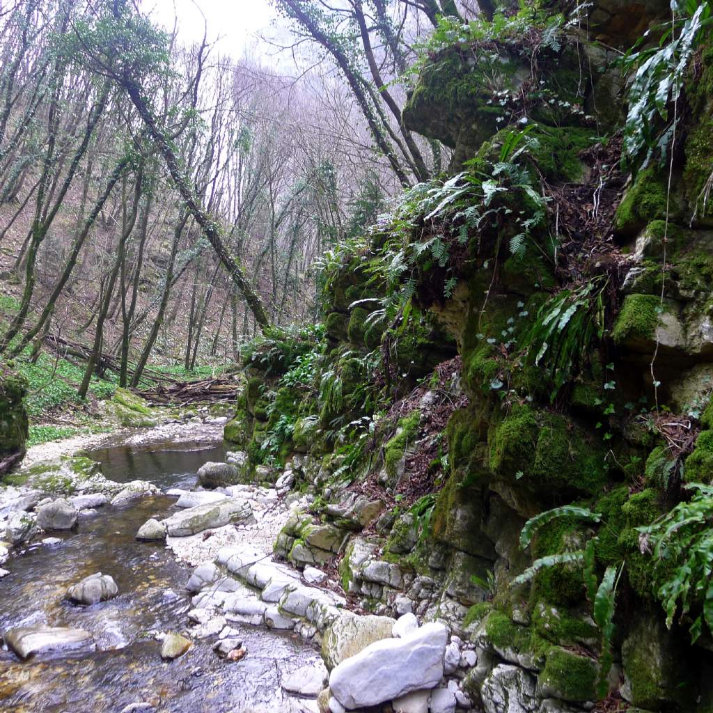 Suggestivo canyon in zona Baldo