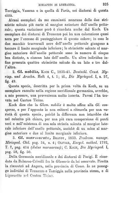 BROLEMANN  Glomeridae lombardi. Milano, 1880