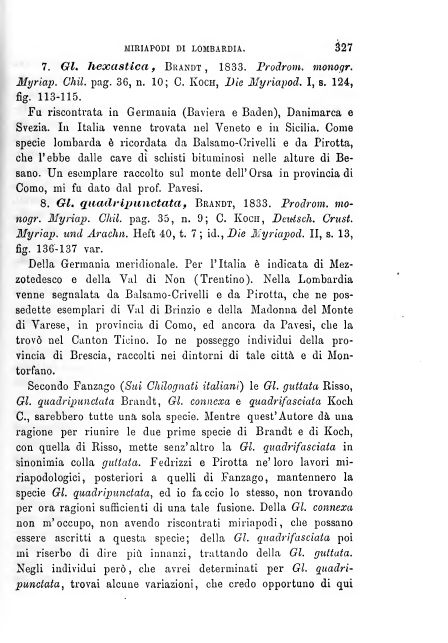 BROLEMANN  Glomeridae lombardi. Milano, 1880