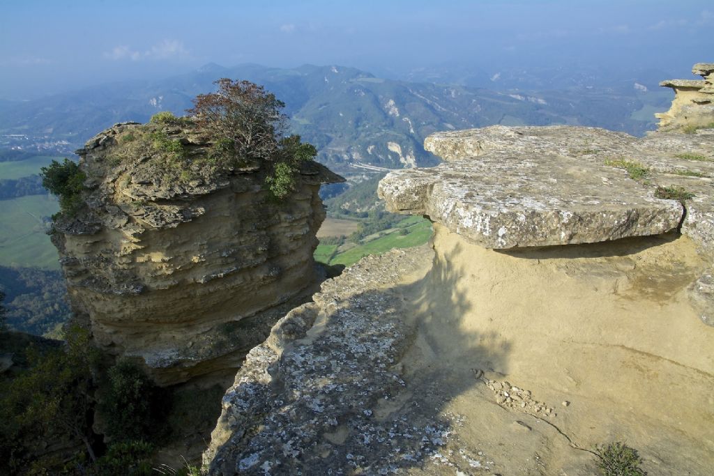 bellissima falena m.te Adone (BO)