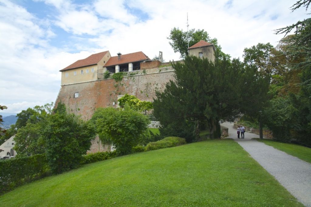 Charpentieria itala braunii Graz