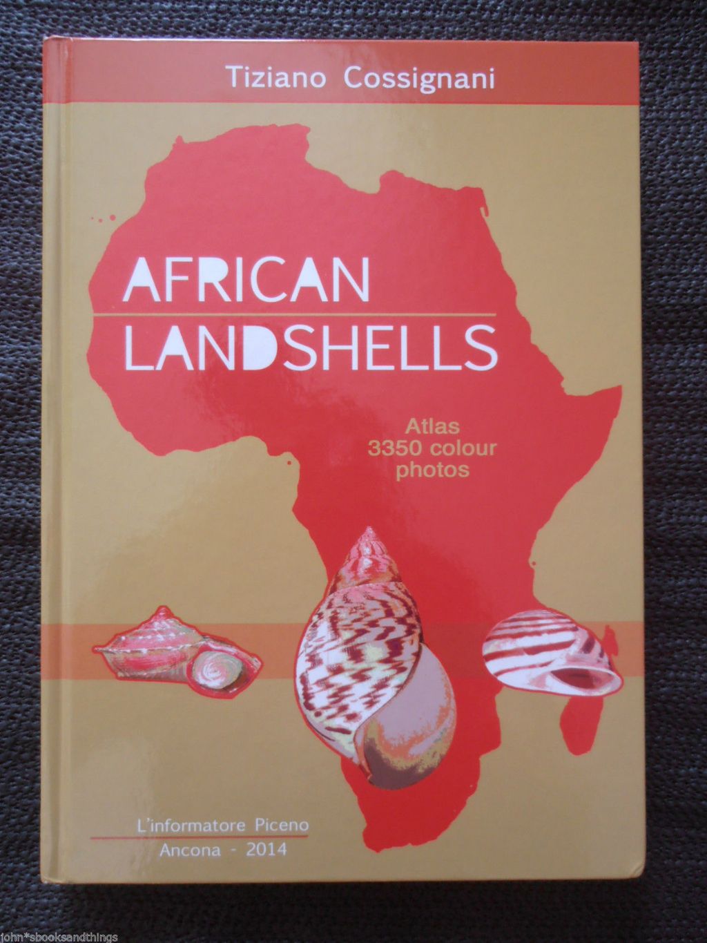 Cossignani African Landshells