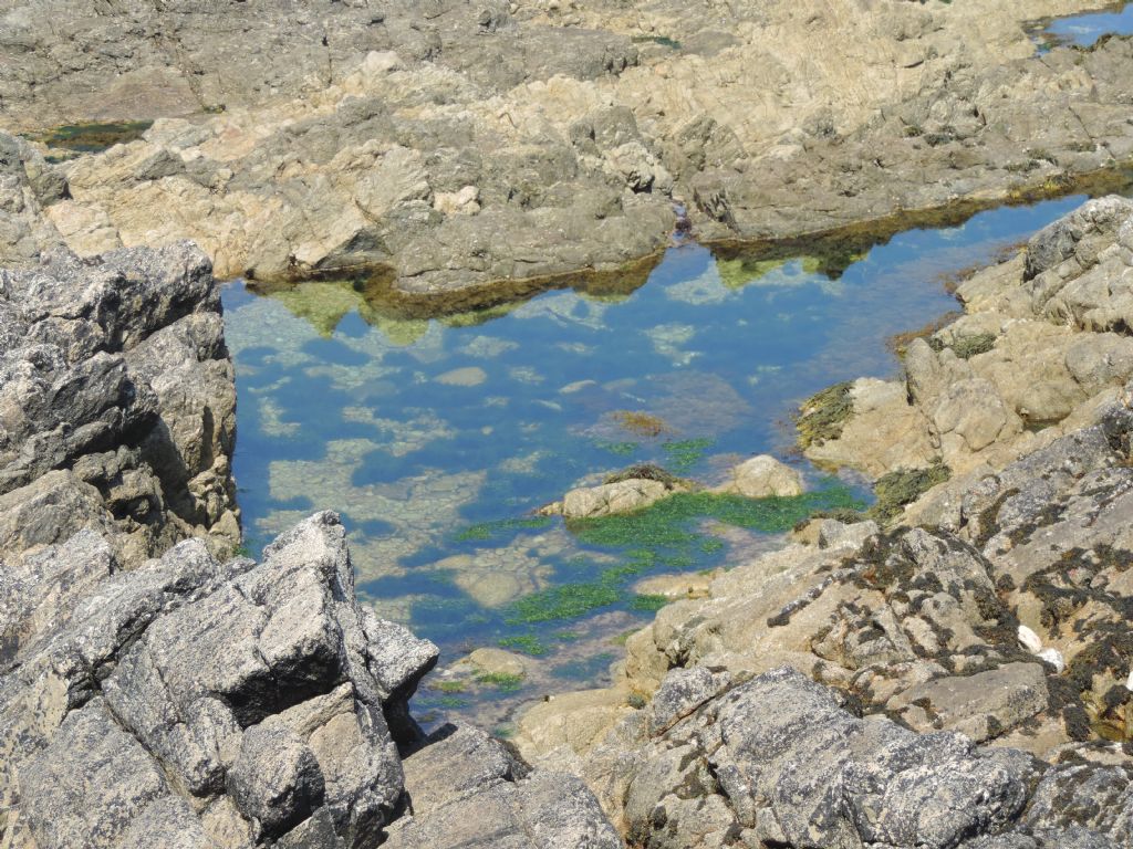 Deposizione in acqua salata