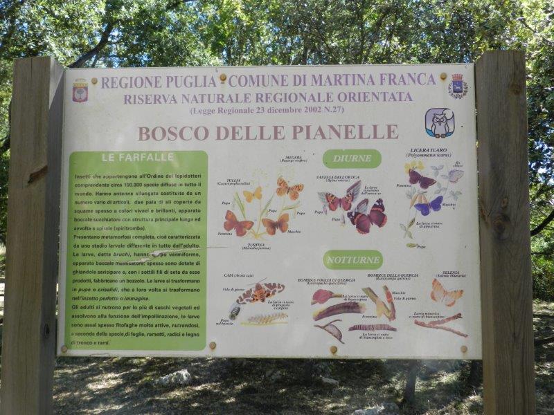 Bosco delle Pianelle - Martina Franca (Ta)