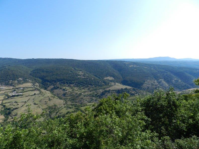 Foresta Umbra - Gargano