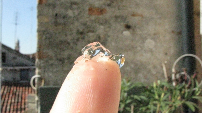 materia gelatinosa sul mio balcone...